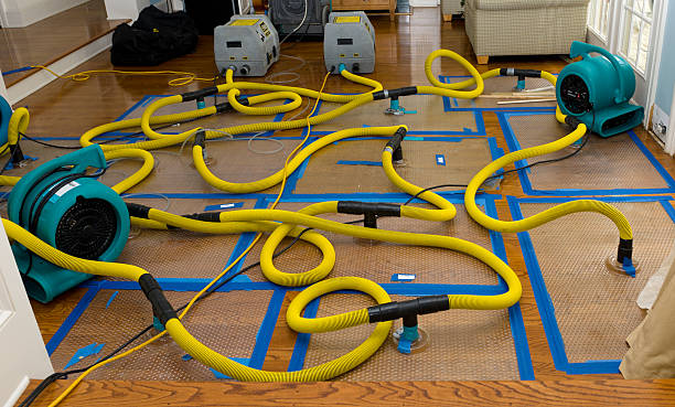 Professional Crawl Space Water Removal technician working in Waldron, MI